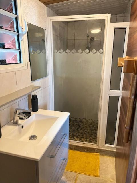 La Bananeraie Apt 35M2 Piscine Jardin Tropical Parking Prive Saint-Leu Dış mekan fotoğraf